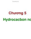 Bài giảng Hóa hữu cơ: Chương 5 - Hydrocacbon no