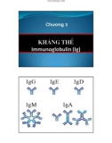 Bài giảng Miễn dịch học: Chương 3 - ThS. Nguyễn Thành Luân