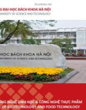 Bài giảng Miễn dịch học: Chương 6 - Lympho bào T - Đáp ứng miễn dịch qua trung gian tế bào