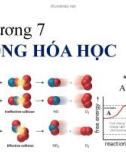 Bài giảng Hóa học 2: Chương 7 - Động hóa học