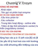 Bài giảng Hóa Sinh đại cương: Chương 5 - Enzym