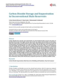 Carbon Dioxide Storage and Sequestration in Unconventional Shale Reservoirs