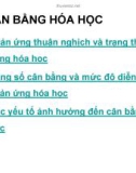 Bài giảng Hóa học đại cương - Chương 4: Cân bằng hóa học