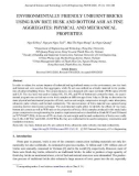 Environmentally friendly unburnt bricks using raw rice husk and bottom ash as fine aggregates: Physical and mechanical properties