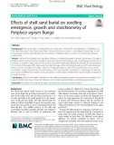 Effects of shell sand burial on seedling emergence, growth and stoichiometry of Periploca sepium Bunge