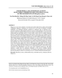 Antimicrobial and antioxidant activity of bacterial endophytes isolated from leaves of the mangrove plant Rhizophora stylosa