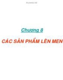 Bài giảng Vi sinh vật thực phẩm - Chương 8: Các sản phẩm lên men