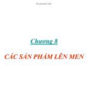 Bài giảng Vi sinh thực phẩm: Chương 8 - Trần Thị Huyền