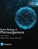 Ebook Brock Biology of Microorganisms (15th Edition): Part 1