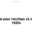 Giáo trình Sinh lý học thực vật: Phần 2 - Nguyễn Du Sanh