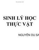 Giáo trình Sinh lý học thực vật: Phần 1 - Nguyễn Du Sanh