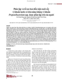 Phân lập và tối ưu hoá điều kiện nuôi cấy vi khuẩn lactic có khả năng kháng vi khuẩn Propionibacterium spp. được phân lập trên da người