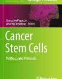 Ebook Cancer stem cells: Methods and protocols