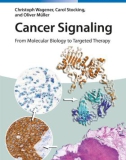 Ebook Cancer signaling: From molecular biology to targeted therapy