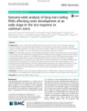 Genome-wide analysis of long non-coding RNAs affecting roots development at an early stage in the rice response to cadmium stress