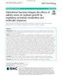 Halotolerant bacteria mitigate the effects of salinity stress on soybean growth by regulating secondary metabolites and molecular responses