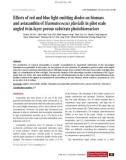 Effects of red and blue light emitting diodes on biomass and astaxanthin of Haematococcus pluvialis in pilot scale angled twin-layer porous substrate photobioreactors