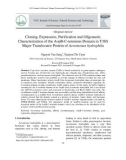 Cloning, expression, purification and oligomeric characterization of the AopB-C-terminus domain in T3SS major translocator protein of aeromonas hydrophila