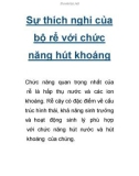 Sự thích nghi của bộ rể với chức năng hút khoáng