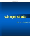 Bài giảng Xác định cỡ mẫu - PGS.TS. Lê Hoàng Ninh