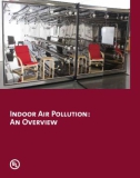 Indoor Air Pollution: An Overview