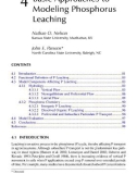 Modeling phosphorus in the environment - Chapter 4