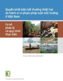 Quyền khởi kiện bồi thường thiệt hại do hành vi vi phạm pháp luật môi trường ở Việt Nam