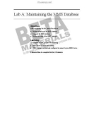 Lab A: Maintaining the MMS Database