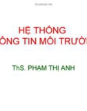 Bài giảng Hệ thống thông tin môi trường