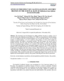 Study on the effect of Calcium-alginate and whey protein on the survival rate of Bifidobacterium bifidum in Mayonnaise