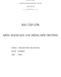 MÔN: ĐÁNH GIÁ TÁC ĐỘNG MÔI TRƯỜNG