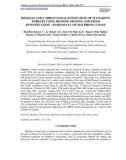 Biomass and carbon stock estimation of mangrove forests using remote sensing and field investigation - based data on Hai Phong coast