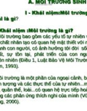 Ảnh hưởng của môi trường và dân số đối với đời sống xã hội