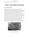 Thử tìm giải pháp thủy lợi cho đồng bằng sông Cửu Long - Phần 2: Kinh nghiệm Mississippi