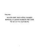 Tổng luận: Nguồn phế thải nông nghiệp rơm rạ và kinh nghiệm thế giới về xử lý và tận dụng