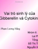 Vai trò sinh lý của Gibberellin và Cytokinin