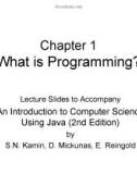 Lecture An introduction to computer science using java - Chapter 1: What is programming?