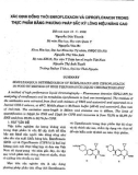 Xác định đồng thời Enrofloxacin và Ciprofloxacin trong thực phẩm bằng phương pháp sắc ký lỏng hiệu nâng cao