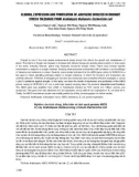 Nghiên cứu tách dòng, biểu hiện và tinh sạch protein ABO3 từ cây Arabidopsis thaliana trong vi khuẩn Escherichia coli