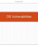 Lecture An toàn Hệ điều hành: OS Vulnerabilities - Nguyễn Hồng Sơn