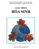 Giáo trình Hóa sinh: Phần 1 - Đỗ Quý Hai