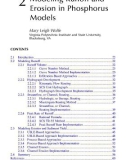 Modeling phosphorus in the environment - Chapter 2