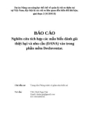 Báo cáo nghiên cứu tích hợp các mẫu biểu đánh giá thiệt hại và nhu cầu (DANA) vào trong phần mềm DesInventar