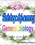 Bài giảng Sinh học đại cương: Chương 1 - Cơ sở hóa sinh học của sự sống