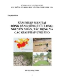 Tổng luận Xâm nhập mặn tại đồng bằng Sông Cửu Long: Nguyên nhân, tác động và các giải pháp ứng phó