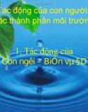 Tác động của con người lên môi trường