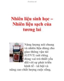 Nhiên liệu sinh học – Nhiên liệu sạch của tương lai