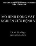 Bài giảng Mô hình động vật trong nghiên cứu bệnh về khớp – TS. Vũ Bích Ngọc