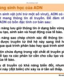 Di truyền học phân tử và tế bào : Cấu trúc, đặc tinh, chức năng của các đại phân tử sinh học part 7