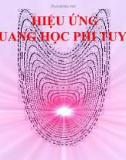 Hiệu ứng quan học phi tuyến